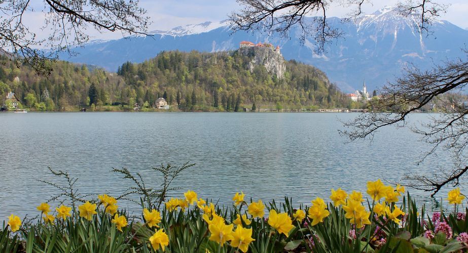 Meer van Bled Meer van Bled